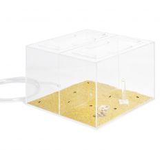 Tappi di Cellulosa (Permeabili all&