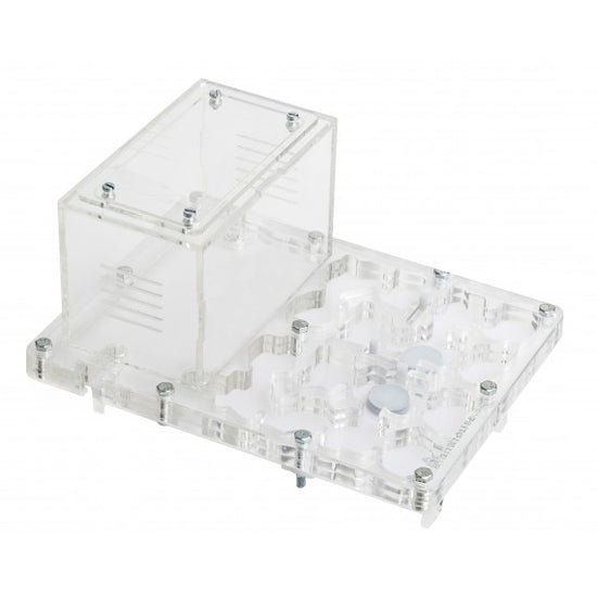 AntHouse-Hori-Acri 20x15x1,5 (Tipo Fungo, Con Area di Foraggiamento)