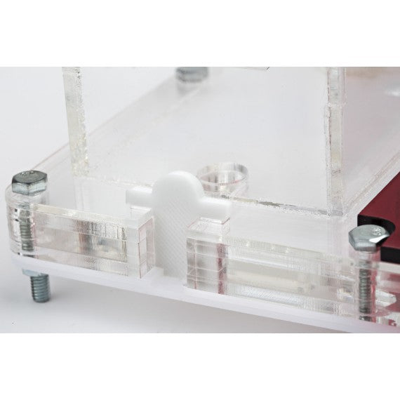 AntHouse-Hori-Acri 20x15x1,5 (Tipo Fungo, Con Area di Foraggiamento)