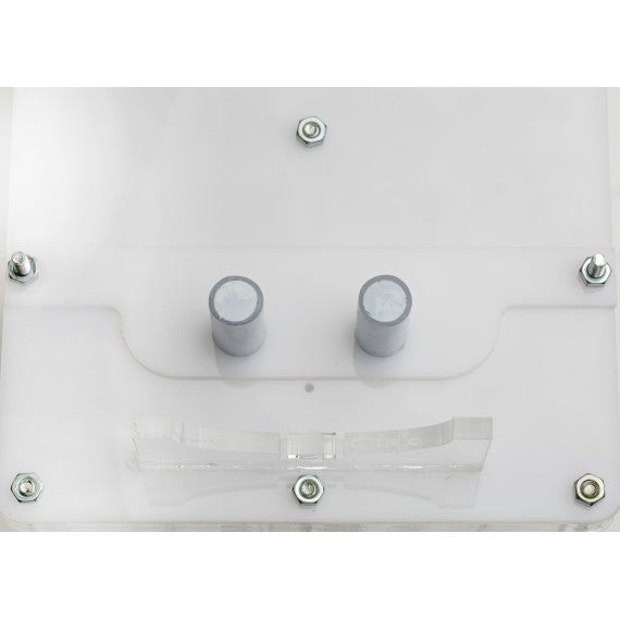 AntHouse-Hori-Acri 20x15x1,5 (Tipo Fungo, Con Area di Foraggiamento)