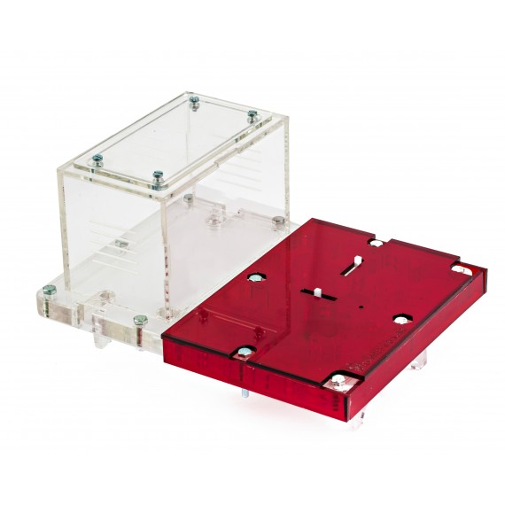 AntHouse-Hori-Acri 20x15x1,5 (Tipo Fungo, Con Area di Foraggiamento)