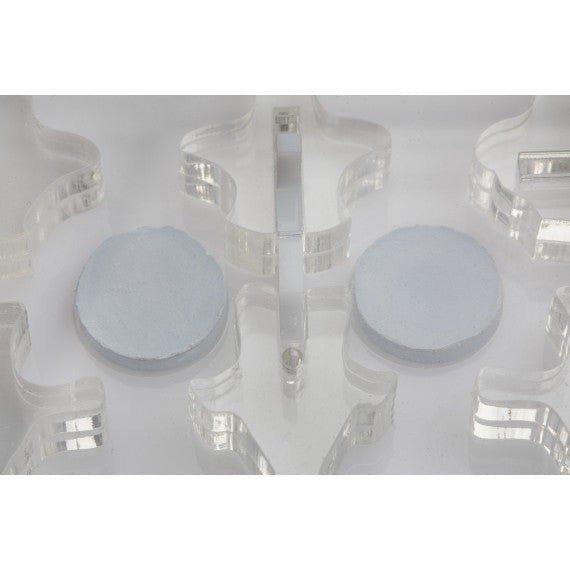 AntHouse-Hori-Acri 20x15x1,5 (Tipo Fungo, Con Area di Foraggiamento)