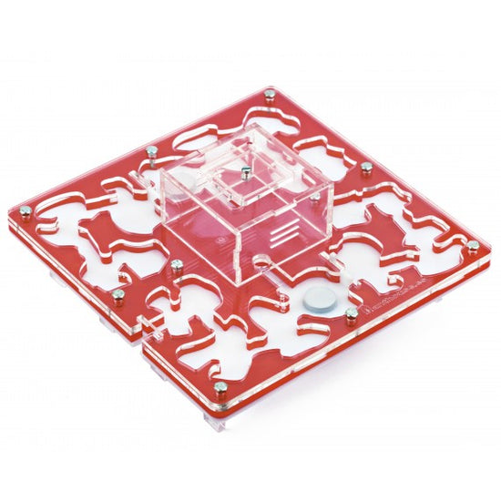 AntHouse-Hori-Acri 20x20x1,5 (Tipo Fungo, Con Area di Foraggiamento)