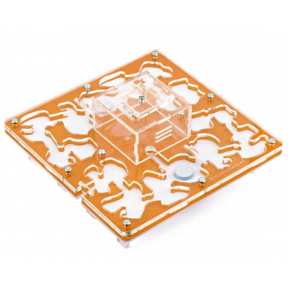 AntHouse-Hori-Acri 20x20x1,5 (Tipo Fungo, Con Area di Foraggiamento)