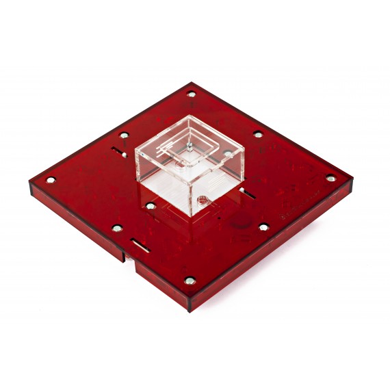 AntHouse-Hori-Acri 20x20x1,5 (Tipo Fungo, Con Area di Foraggiamento)