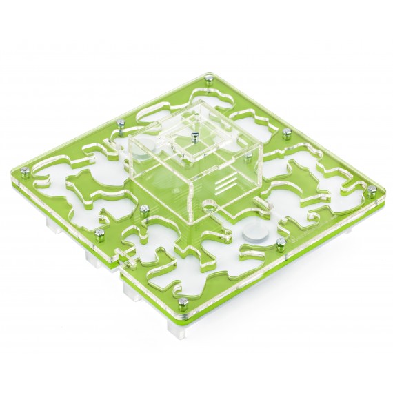 AntHouse-Hori-Acri 20x20x1,5 (Tipo Fungo, Con Area di Foraggiamento)