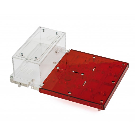 AntHouse-Hori-Acri 30x20x1,5 (Tipo Fungo, Con Area di Foraggiamento)