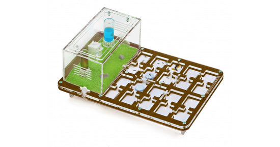 AntHouse-Hori-Acri 30x20x1,5 (Tipo Fungo, Con Area di Foraggiamento)