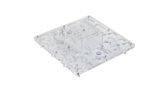 AntHouse-Hori-Acri 30x30x1,5 (Tipo Fungo, Con Area di Foraggiamento)