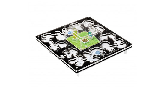 AntHouse-Hori-Acri 30x30x1,5 (Tipo Fungo, Con Area di Foraggiamento)