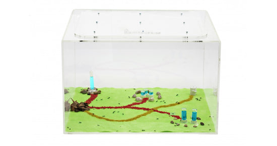 Anthouse MegaBigMax 50x50x30 cms