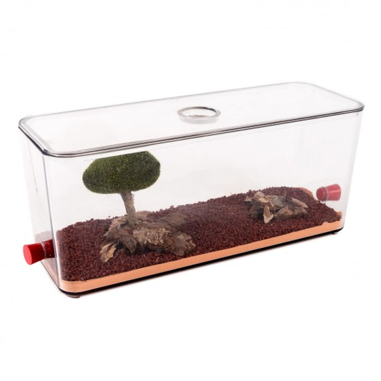 Anthouse - Scatola per foraggio decorata