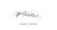 Colonia di Camponotus cruentatus