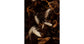 Coltivazione Collembolo  (Tropical White) 500cc
