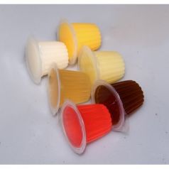 10x5x1,5 cm Modulare di Umidità Extra Fungo