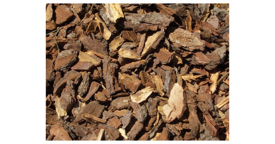 Corteccia di pino 50g