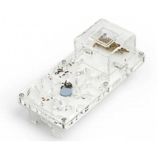 Fungo acrilico NaturColor 20x10x1cms