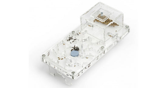 Fungo acrilico NaturColor 20x10x1cms