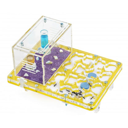 Fungo in acrilico NaturColor 20x15x1,5cm