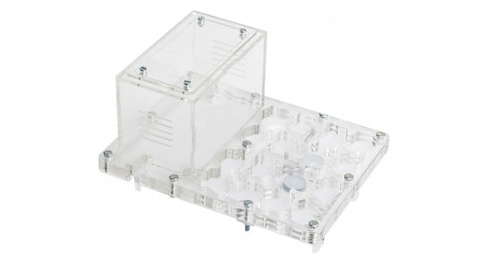 Fungo in acrilico NaturColor 20x15x1,5cm