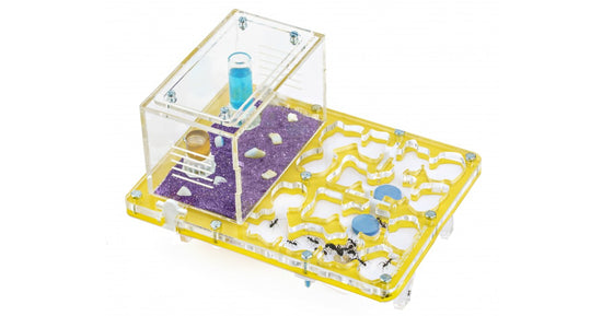 Fungo in acrilico NaturColor 20x15x1,5cm