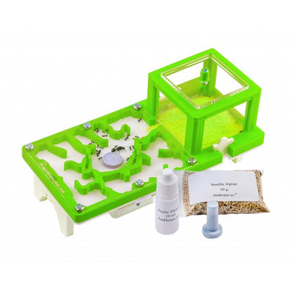Kit 3D 10x20x1 Fungo (Con Formiche GRATUITE)
