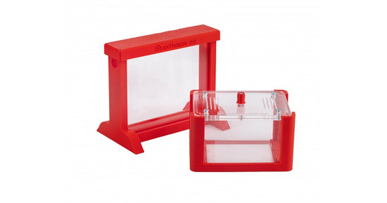 Kit AntHouse 3D Base Formicaio di Sabbia con Regina e Formiche GRATIS