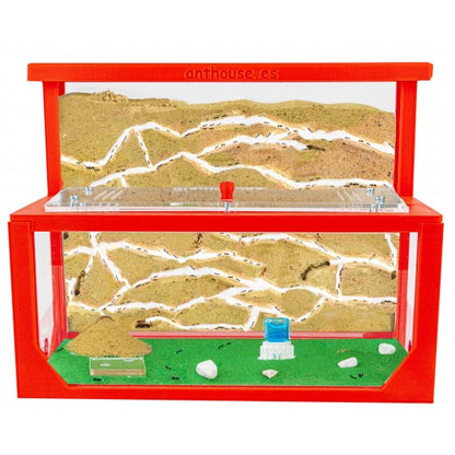 Kit AntHouse 3D -L- Formicaio di Sabbia con Regina e Formiche GRATUITE