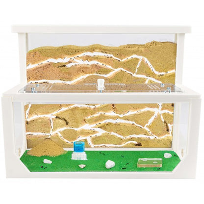 Kit AntHouse 3D -L- Formicaio di Sabbia con Regina e Formiche GRATUITE