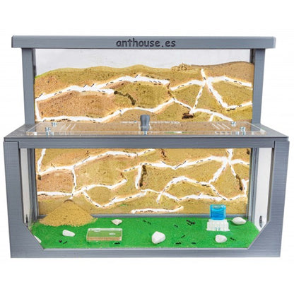Kit AntHouse 3D -L- Formicaio di Sabbia con Regina e Formiche GRATUITE