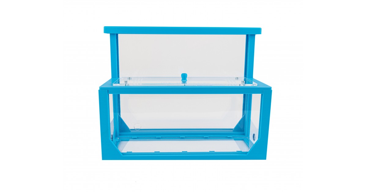 Formicaio Kit AntHouse 3D -L- Formicaio di Sabbia con Regina e Formiche GRATUITE ...
