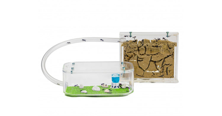 Kit Educativi per bambini 2026