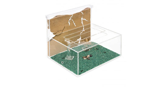 Kit AntHouse -L- Formicaio di Sabbia con Regina e Formiche GRATUITE