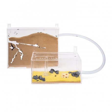 Kit AntHouse Parete Big Acrilico