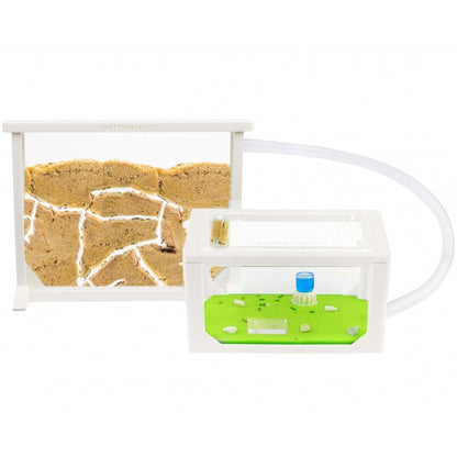 Kit AntHouse Sandwich 3D Medio