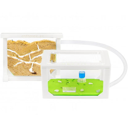 Kit AntHouse Sandwich 3D Mini