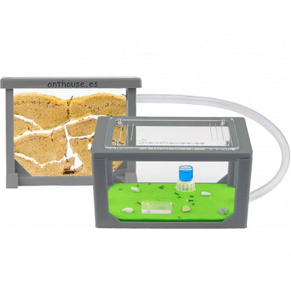 Kit AntHouse Sandwich 3D Mini