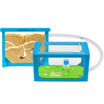 Kit AntHouse Sandwich 3D Mini