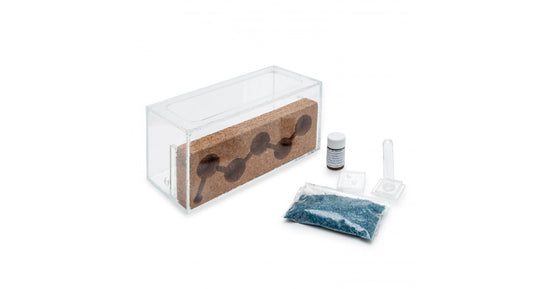 Kit AntHouse Sughero Acrilico (Con Formiche incluse)