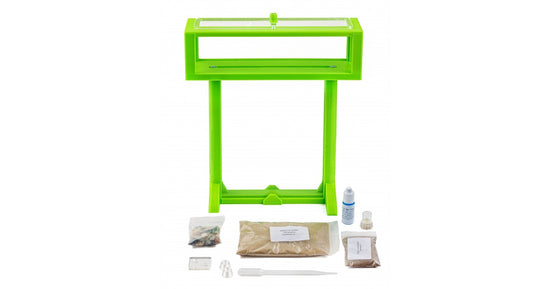 Kit Anthouse-T 3D(15x15x1,5)