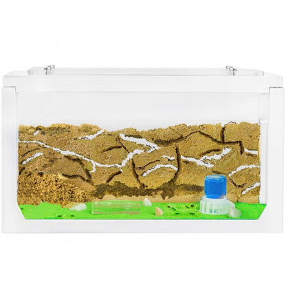 Kits AntHouse Avvio 3D