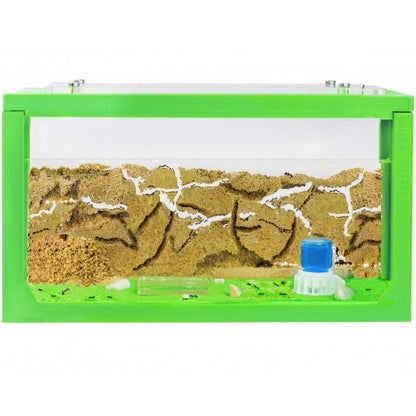 Kits AntHouse Avvio 3D