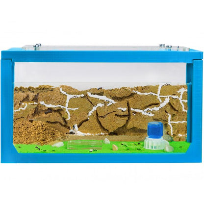 Kits AntHouse Avvio 3D