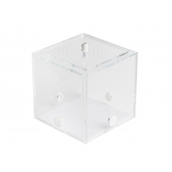 Scatola di foraggiamento in acrilico 10x10x10 cm