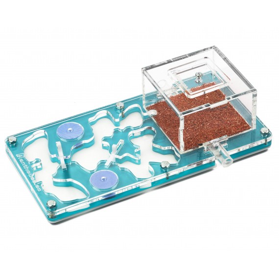 Schiuma acrilica NaturColor 20x10x1