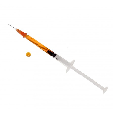 Siringhe con ago (Varie dimensioni)