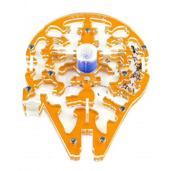 StarAnts NaturColor 15x15x1,5 cm Spugna Con Deposito