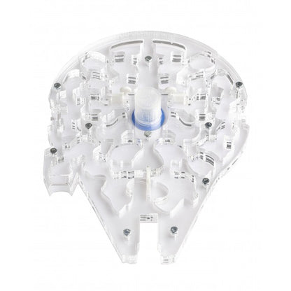 StarAnts NaturColor 20x20x1,5 cm Spugna Con Deposito