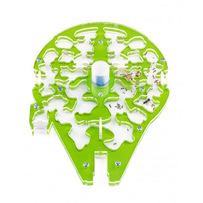 StarAnts NaturColor 20x20x1,5 cm Spugna Con Deposito